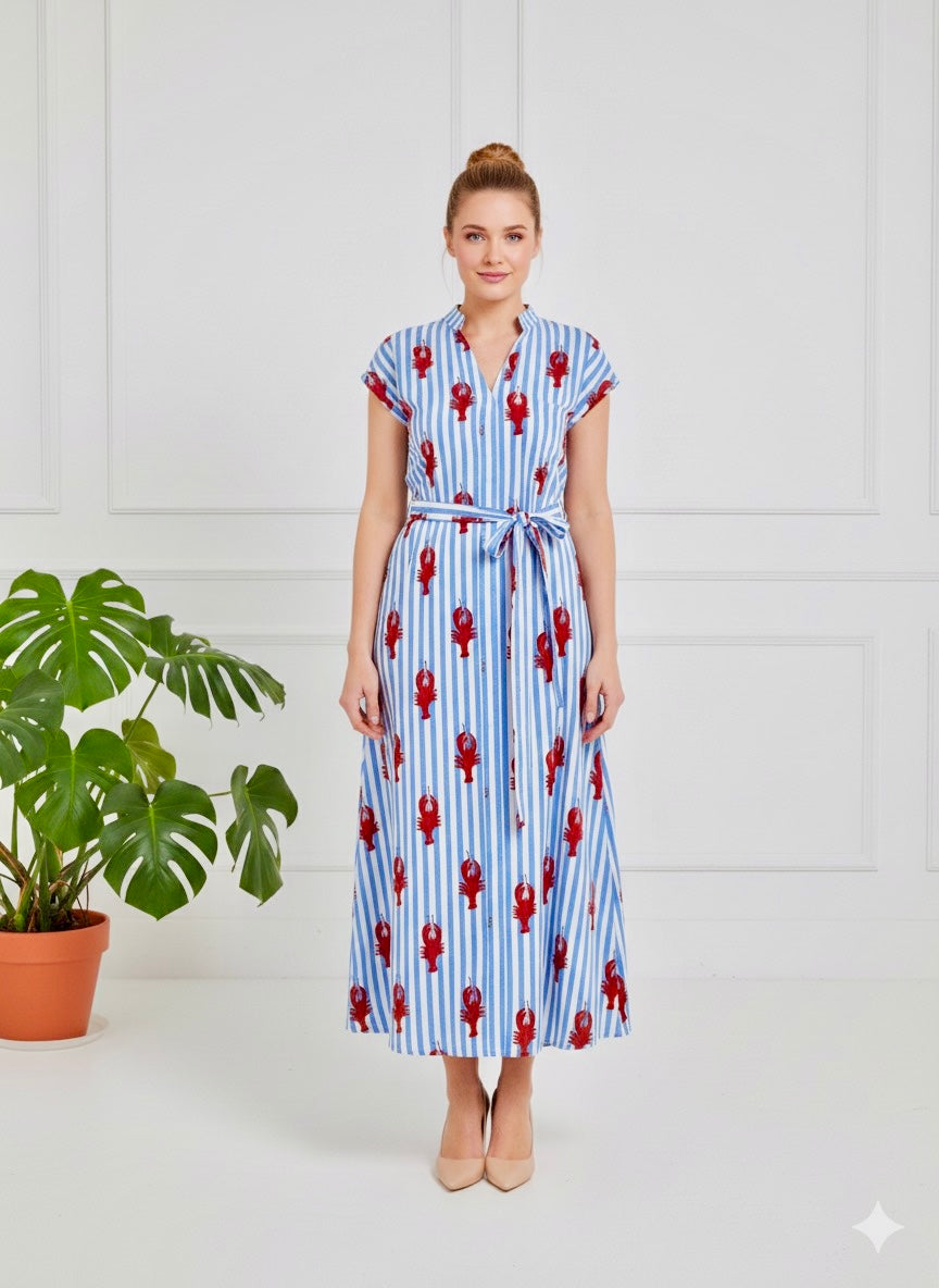 Kiara Cotton Dress | Baby Blue Lobster